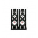 Speaker Active Polytron PAS 67